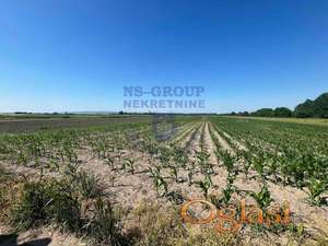 Odličan plac u Kaću